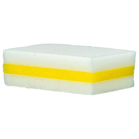 A Must-Have for Pet Owners: Magic Sponge Cleaning Pads for Dealing with Messes